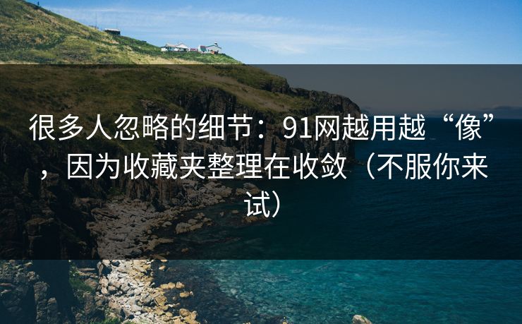 很多人忽略的细节：91网越用越“像”，因为收藏夹整理在收敛（不服你来试）
